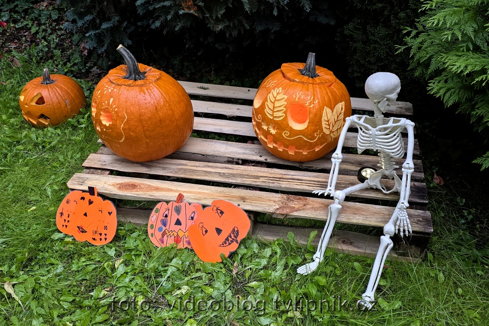 Fotogalerie na Zonerama