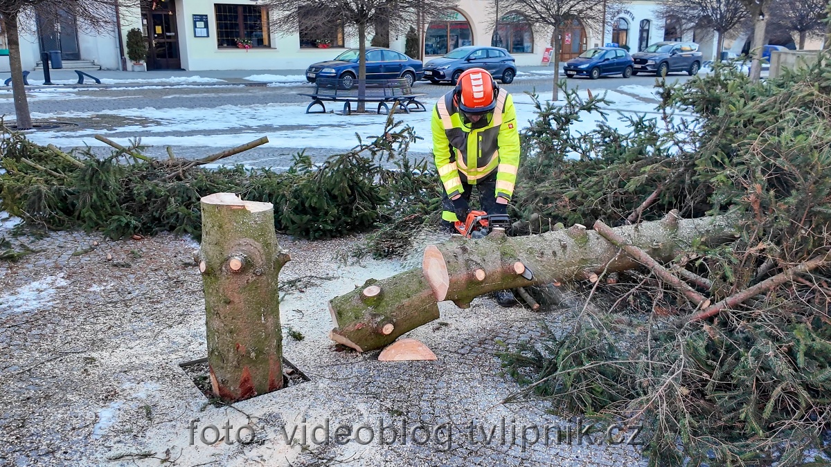 Fotogalerie na Zonerama