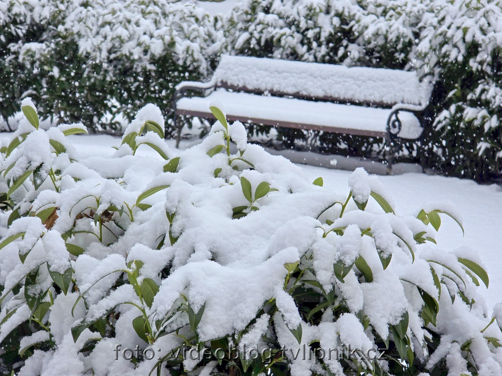 Fotogalerie na Zonerama