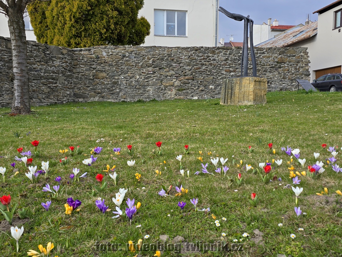 Fotogalerie na Zonerama