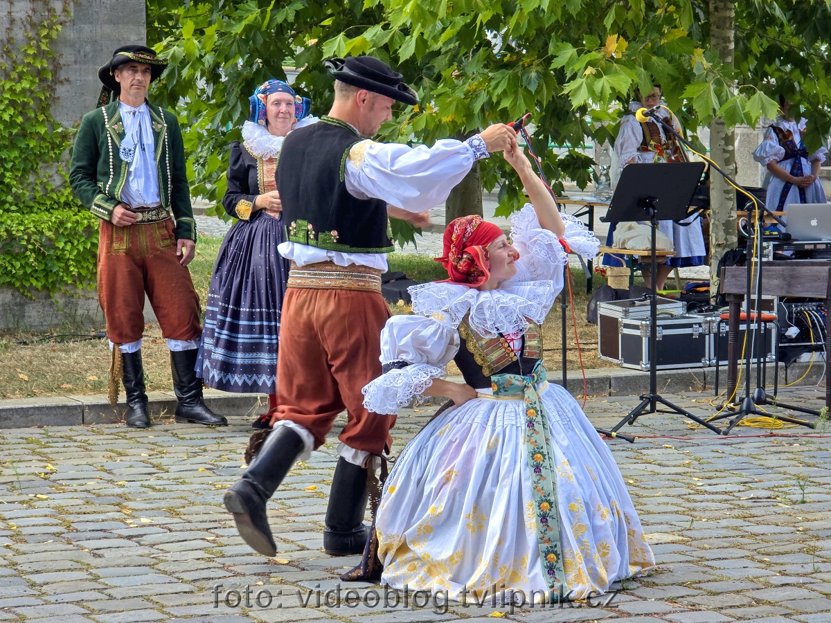 Fotogalerie na Zonerama